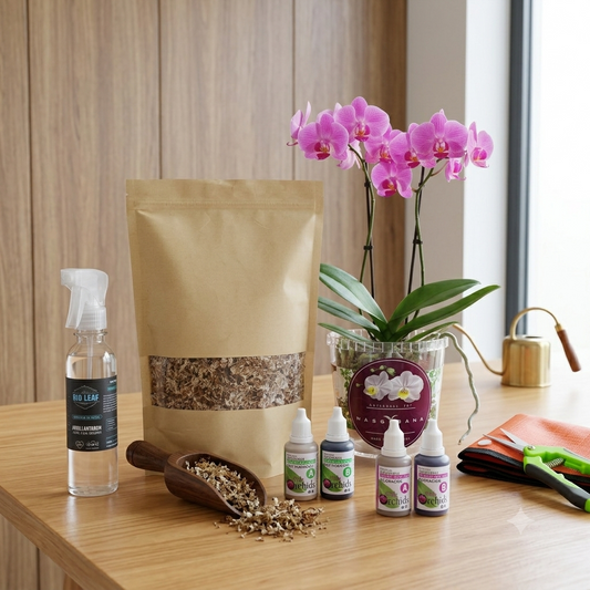 Pack Plus Orquídea