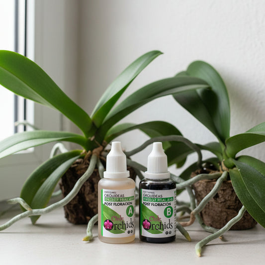 Fertilizante Orquídeas Post floración A+B
