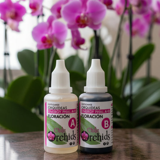 Fertilizante Orquídeas Floración A+B